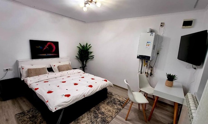 Comanesti Apartment | Camera/garsoniera in regim hotelier