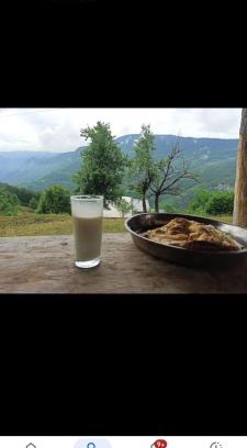 Montenegro House | Camp Apartmani Tara