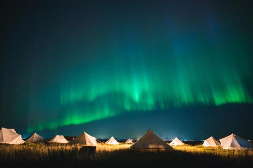Selfoss Other | Camp Boutique