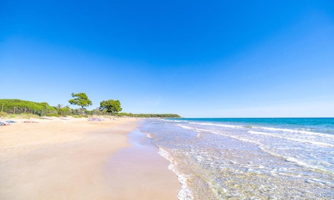 Tarragona Other | Camping Las Palmeras