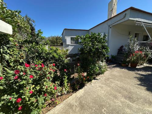 Permet House | Canka Guest House