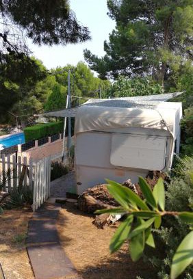 Naquera Other | CaravanaStar