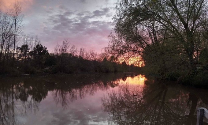 Tigre Cottage | 🏡🌊🌳🌺casa Rural en Medio de la Naturaleza. Paz y Río🚤🌅🛶🌿🌲📸