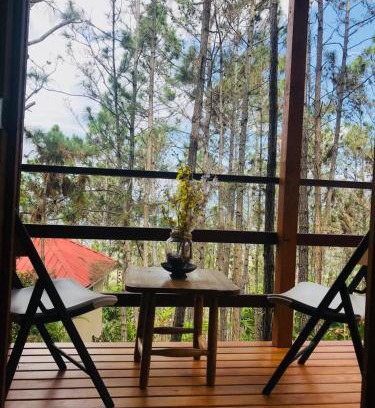 Jarabacoa Other | Casa de Arbol, Rancho Tierra Alta