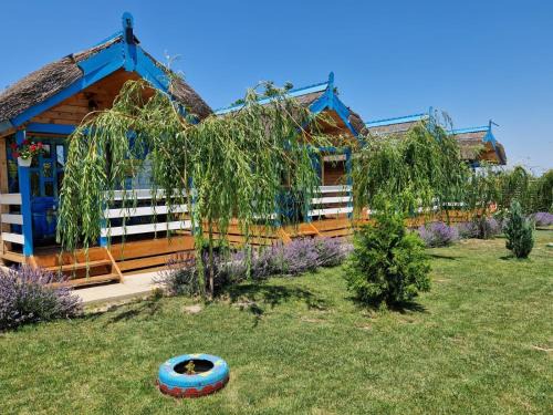 Mahmudia House | Casa Flavia