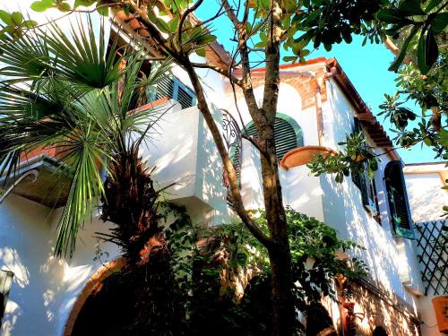 Marina di Campo Apartment | Casa Franco