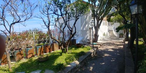 Marina Grande House | Casa Gaia