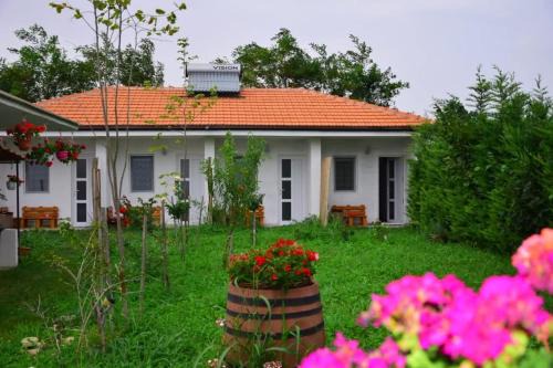 Vama Veche House | Casa Georgy