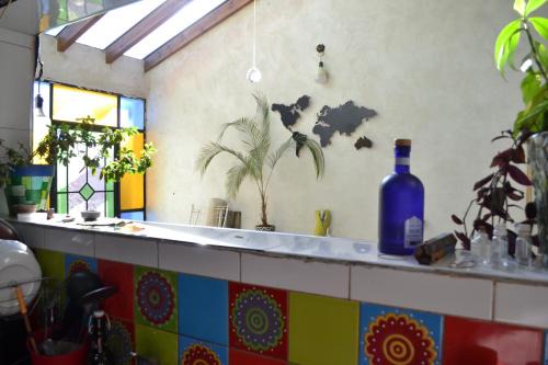 Lanin National Park House | Casa Hábitat - Habitaciones en casa compartida con baño privado