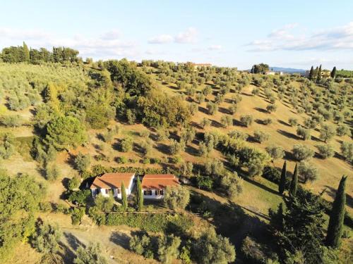 Riparbella House | Casa Leccino, una dimora per tutta la famiglia