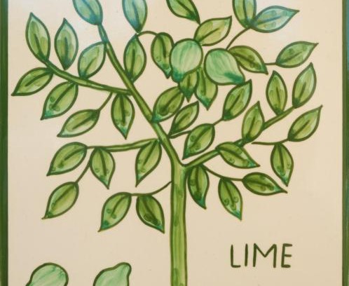 Funchal Apartment | Casa Monte Cristo Apartments - Lime