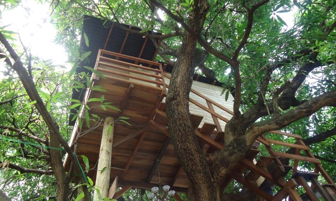 Salvador Bed & Breakfast | Casa na Árvore