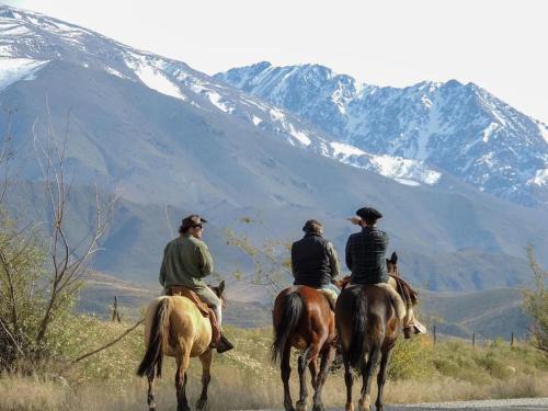 Tupungato House | Casa Rural Los Coirones 4Pax By Inside