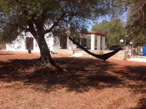 San Vito dei Normanni House | Casa tra ulivi e mandorli