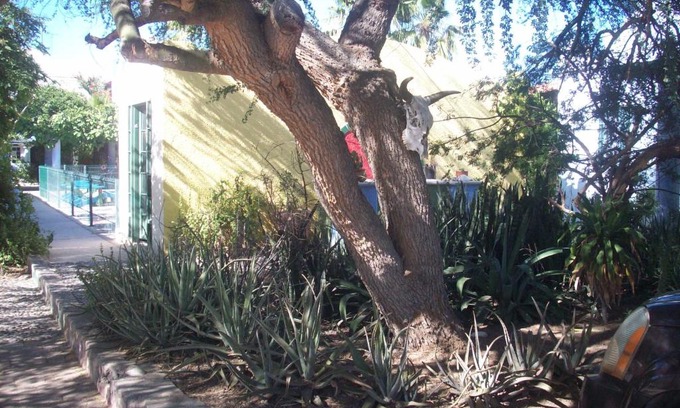 La Paz Bed & Breakfast | Casabuena B&B