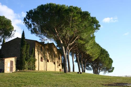Casale Marittimo Apartment | Casalevecchio