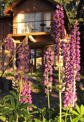 Villa La Angostura Apartment | CasaSur- 37Robles