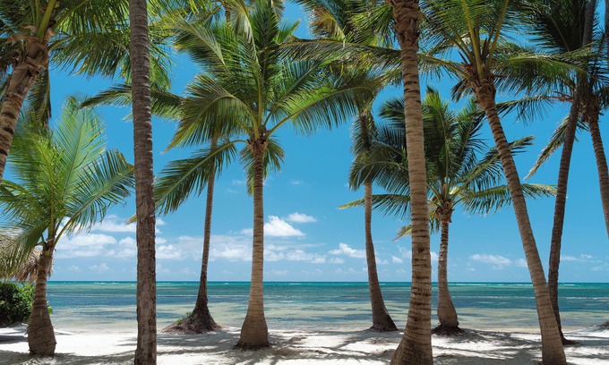 Punta Cana Resort | Catalonia Royal Bavaro - Adults Only