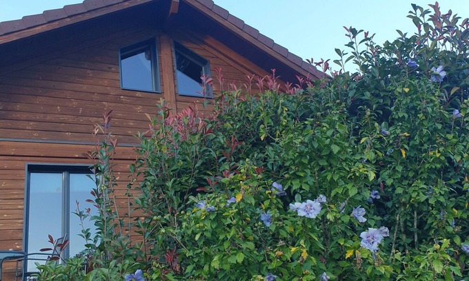 Ferdrupt House | Chalet Bois Cosy - Climatisé - Piscine privée
