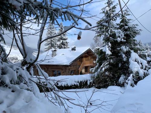 Megeve Ski Chalet | Chalet familial Fleurs des Bois - Rochebrune
