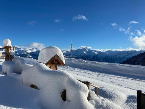 Zellberg Apartment | Chalet in Zillertal near Hochzillertal Ski Area