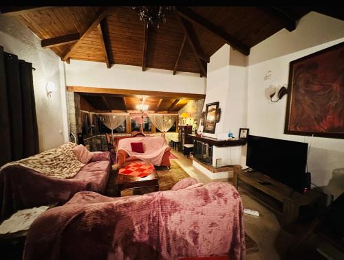 Arachova Ski Chalet | CHALET MARIA livadi