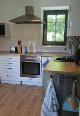 Usti nad Orlici District House | Chalupa ve Svinné