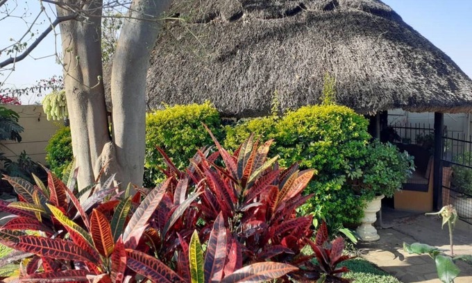 Harare House | Charming 6-bed House With Swimming Pool in Harare