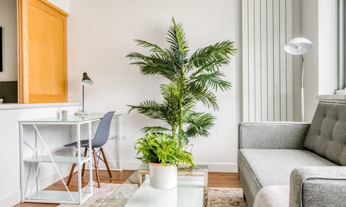 Mid-Market Apartment | Charming Studio in SoMa, near BART + Top Tech HQs