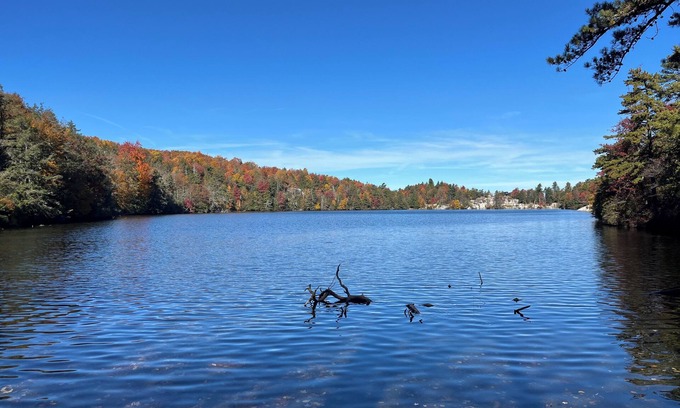 New Paltz Cottage | Cheerful 3 Bedroom Cottage by Rail Trail