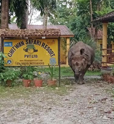 Sauraha Hotel | Chitwan Safari Resort