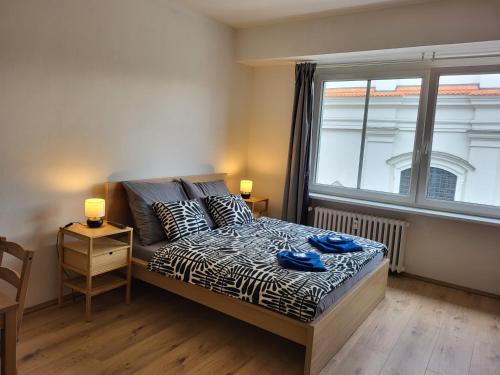 Brno-stred Apartment | City Center Apartments - Moderna Brno Římské náměstí I