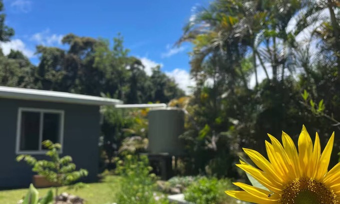 Eungella House | Cloud Cottage Eungella - Family friendly in beautiful rainforest mountain town!