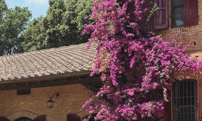 Grosseto Other | Comet House Farmhouse