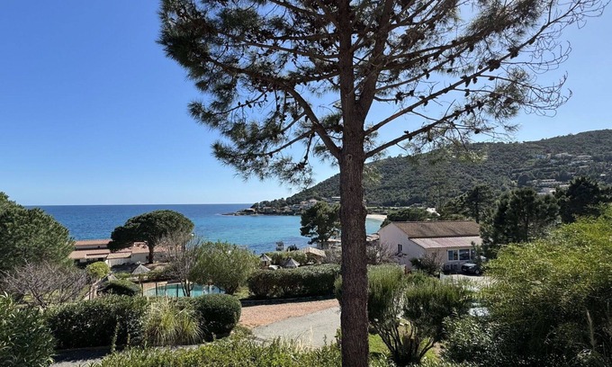 Tarcu Apartment | Cosy apartment for 4 people with WIFI, pool, A/C, terrace and pets allowed