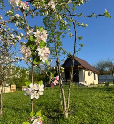 Ambrolauri House | Cottage space