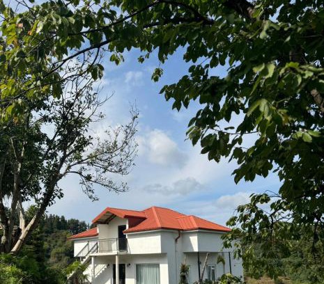 Tkhilnari Apartment | Countryside Private Home