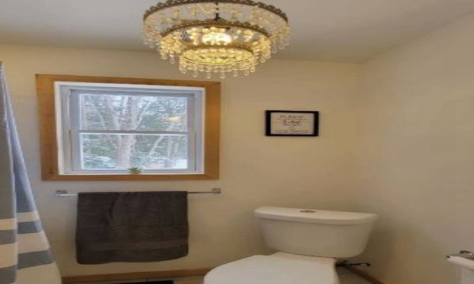 Bardsville Cabin | Cozy Cabin Getaway Muskoka