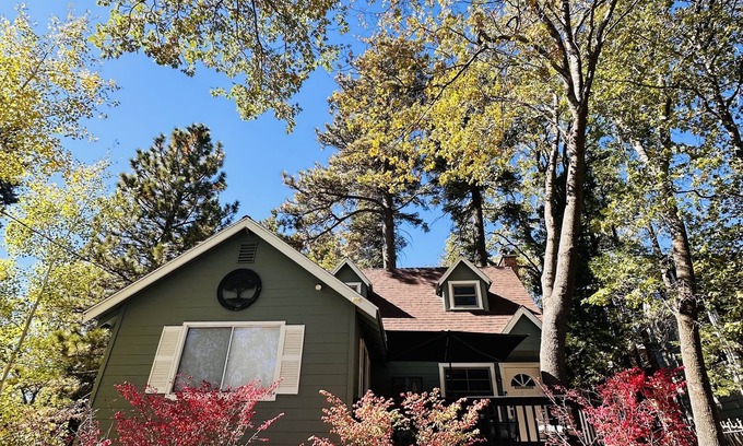 Cedar Glen House | Cozy Cottage, dog friendly, fireplace, beautiful outdoor seating!