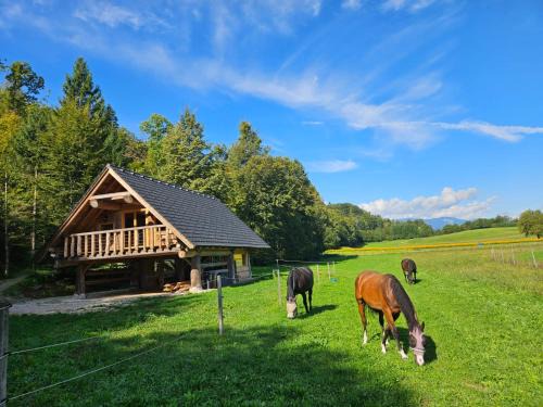 Lancovo House | Cozy house Dalija