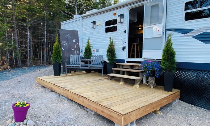 Lepreau House | Cozy waterfront property nestled amongst spruce trees.nPet friendly.