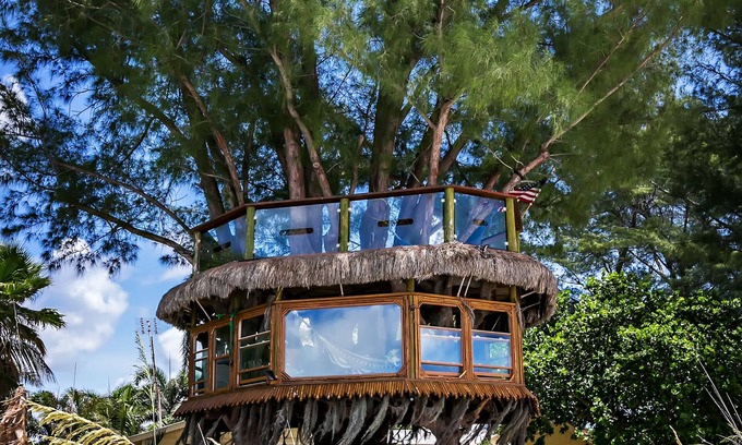 Ilexhurst Cottage | Crazy Cute Beach Cottage In Paradise