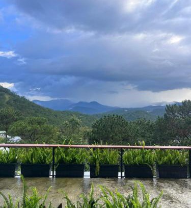 Da Lat Apartment | Cuc ku homestay