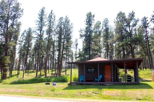 Rapid City House | Cute Creek-Side Cabin Nestled by Mount Rushmore in Rapid City