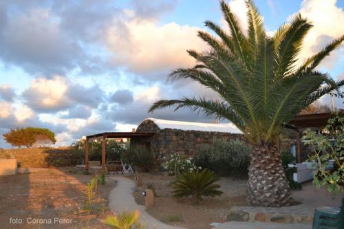 Pantelleria House | Dammuso Primavera