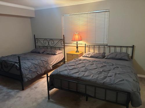 Delta House | Delta Guest House