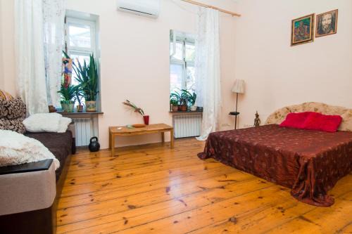 Odessa City Center Apartment | Deribasovskaya Shanti electricity all time