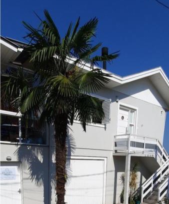 Imigrante Apartment | Dom Ângelo Hospedagem
