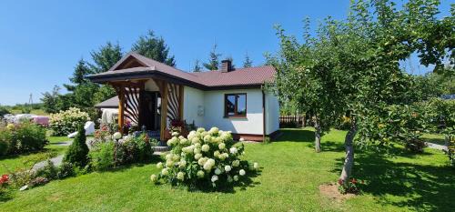 gmina Łopuszno House | Domek na wsi