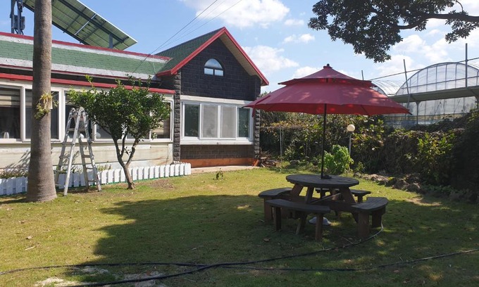 Aewol House | Dove house